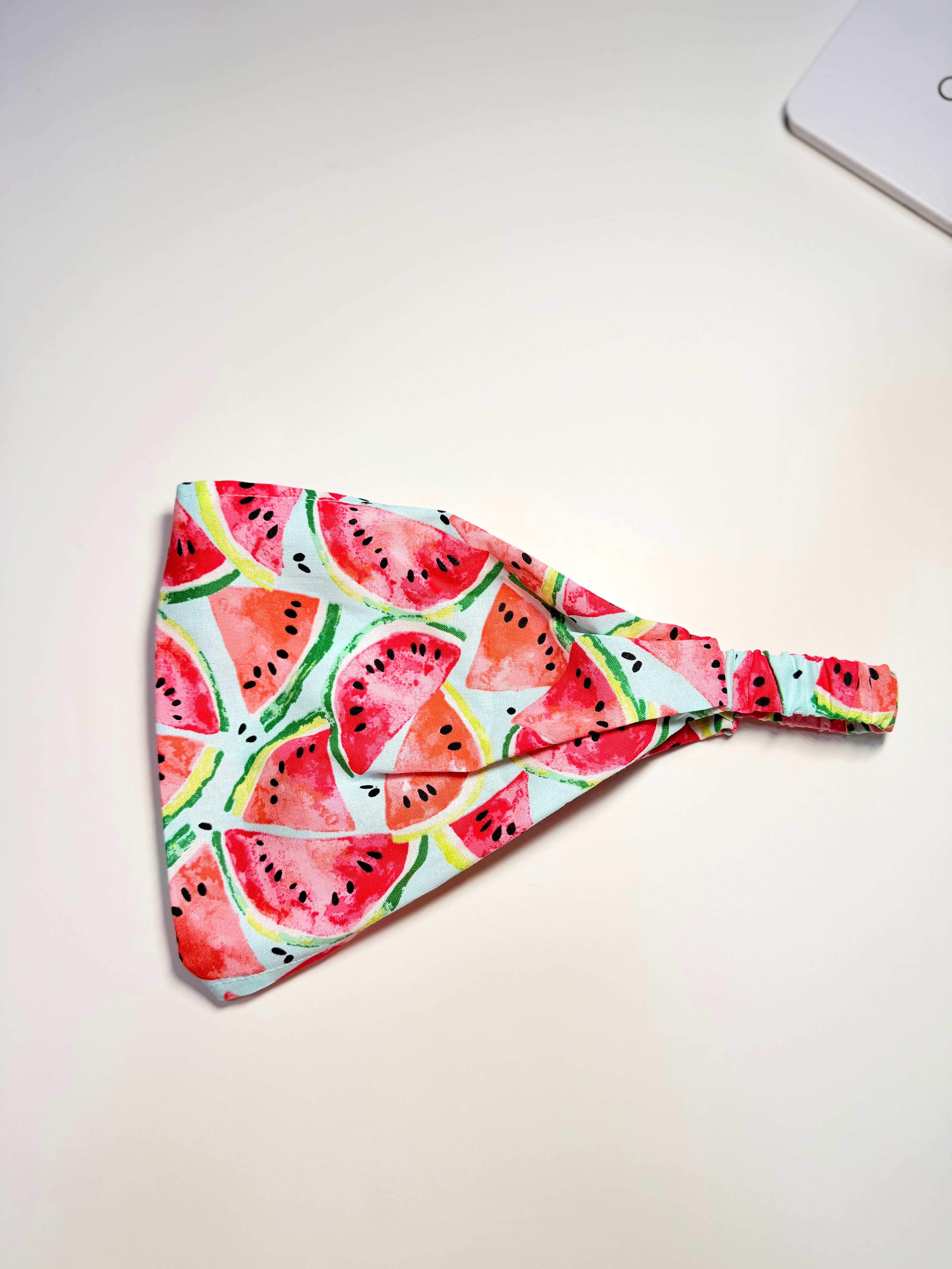 Bandana Pañuelo