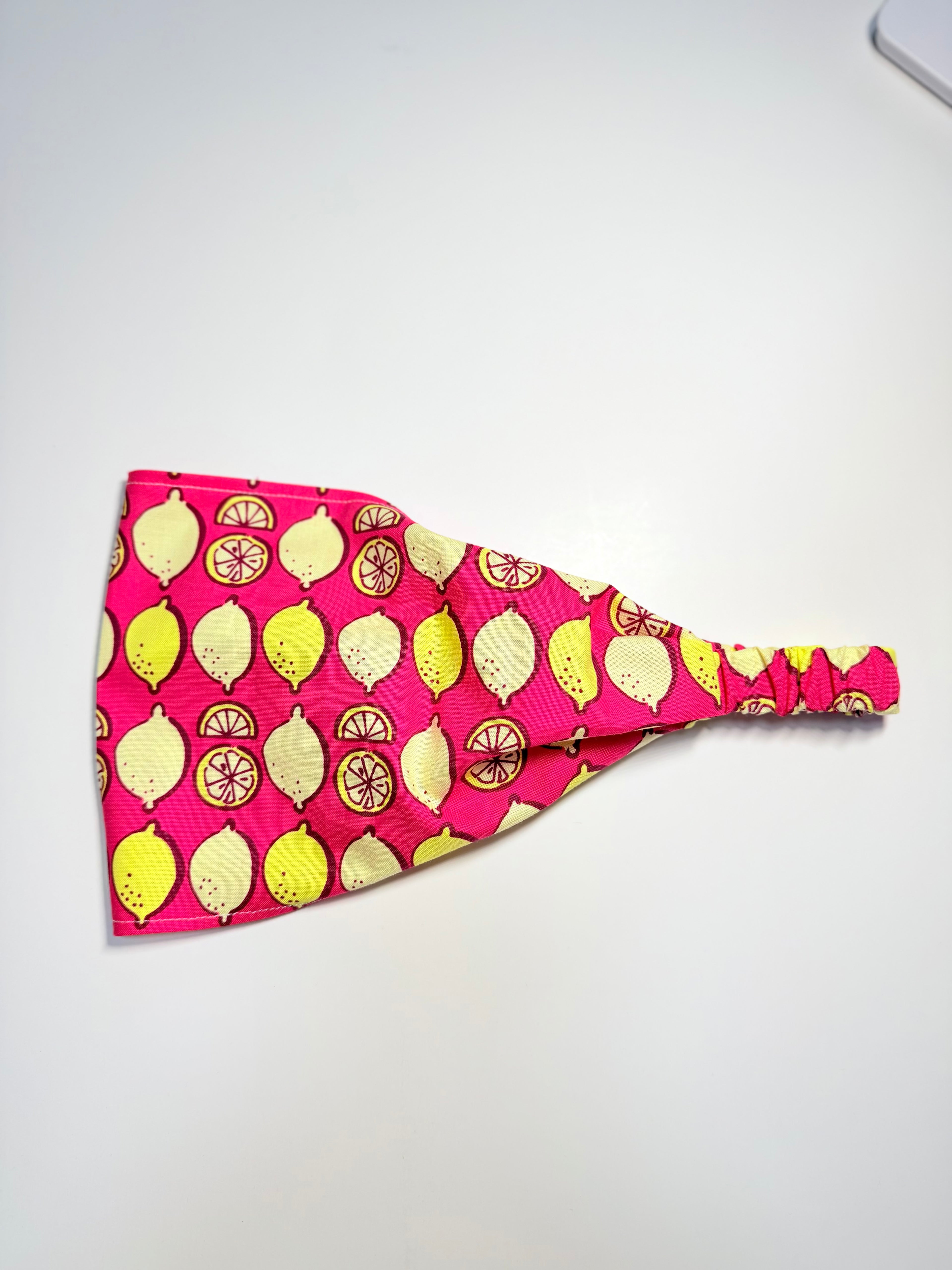 Bandana Pañuelo